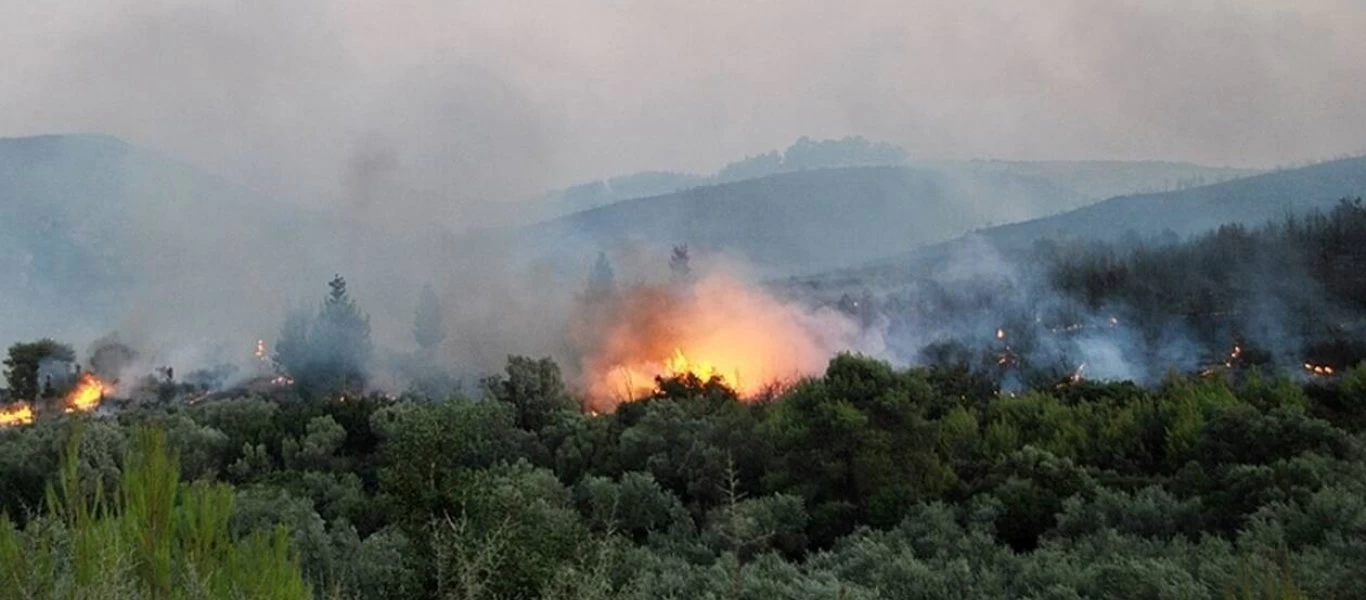 Κρήτη: Πυρκαγιά ξέσπασε στην Αγία Βάρβαρα του Δήμου Γόρτυνας